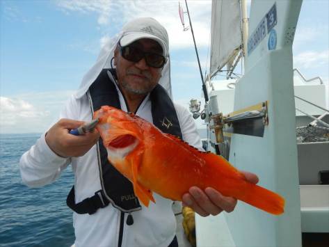 sDSCN392915lure1280