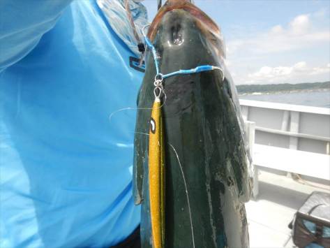 sDSCN393015lure1280