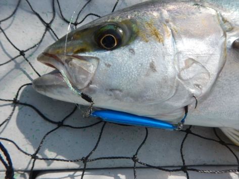 DSCN394022lure1280