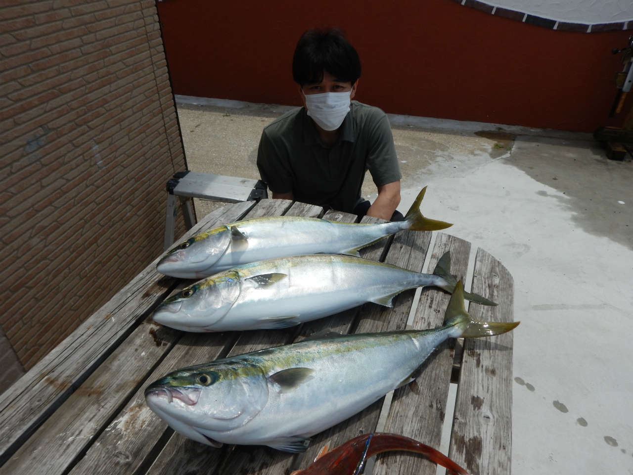 20210625　水面はシラスナブラでバクバク状態　ルアー・ジギング船魚拓号