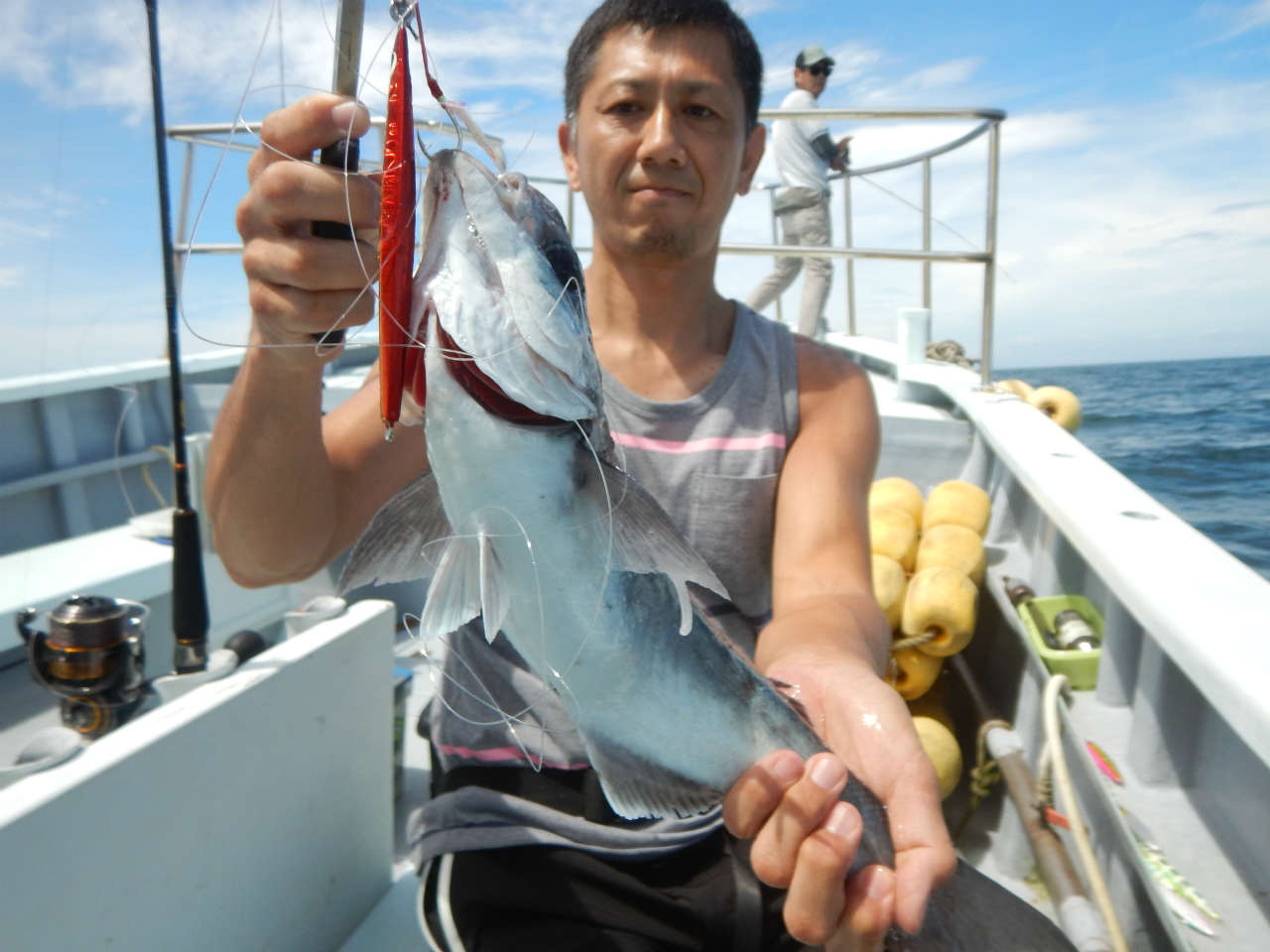 20240715 メダイetc　白浜渡船ルアー・ジギング船魚拓号