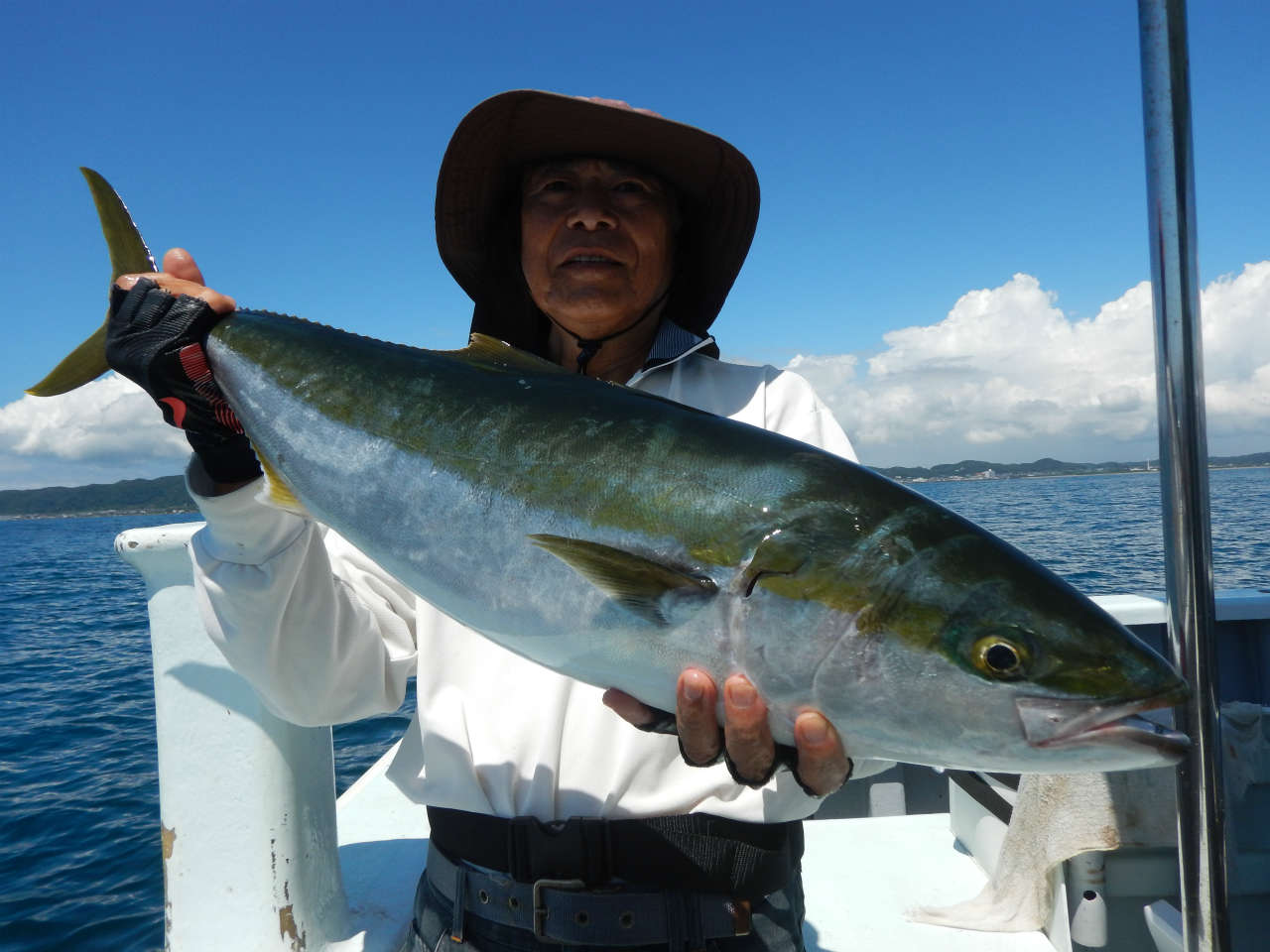 20240808 ワラサ　白浜渡船ルアー・ジギング船魚拓号