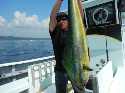 20240813　ワラサ　シイラ　白浜渡船ルアー・ジギング船魚拓号