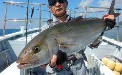 20240906　カンパチ3.3キロ　白浜渡船ルアー・ジギング船魚拓号