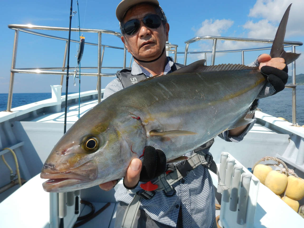 20240906　カンパチ3.3キロ　白浜渡船ルアー・ジギング船魚拓号