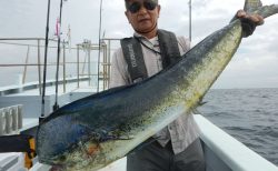 20241005 シイラ・ワラサ　白浜渡船ルアー・ジギング船魚拓号