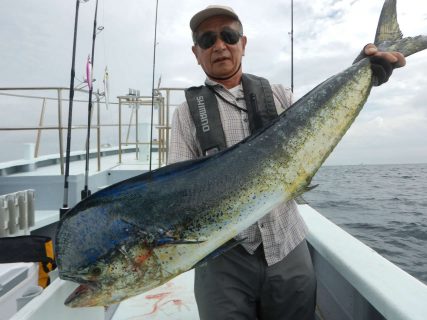 20241005 シイラ・ワラサ　白浜渡船ルアー・ジギング船魚拓号