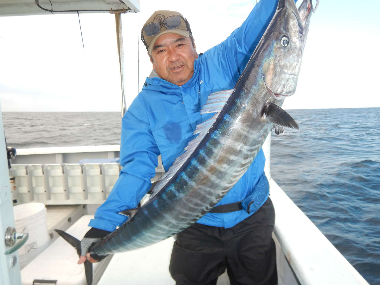 20241012 サワラ　白浜渡船・ルアー・ジギング船魚拓号