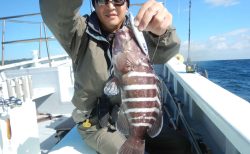 20241014 カンパチ他　白浜渡船・ルアー・ジギング船魚拓号