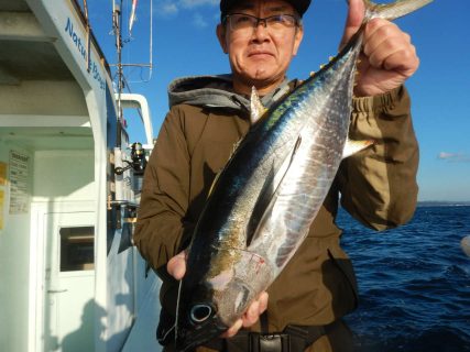 20241122　キハダ　白浜渡船・ルアー・ジギング船魚拓号