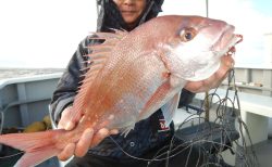 20241124　タイ　白浜渡船・ルアー・ジギング船魚拓号