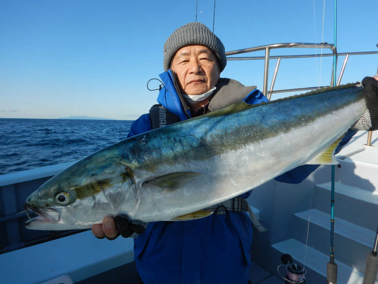 20241220  ワラサetc　白浜渡船・ルアー・ジギング船魚拓号