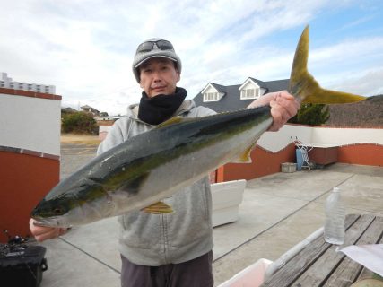 20241230 ワラサ etc　白浜渡船・ルアー・ジギング船魚拓号