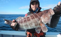 20250104 ハタ　白浜渡船・ルアー・ジギング船魚拓号