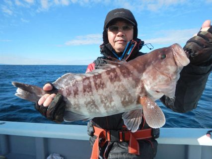 20250104 ハタ　白浜渡船・ルアー・ジギング船魚拓号