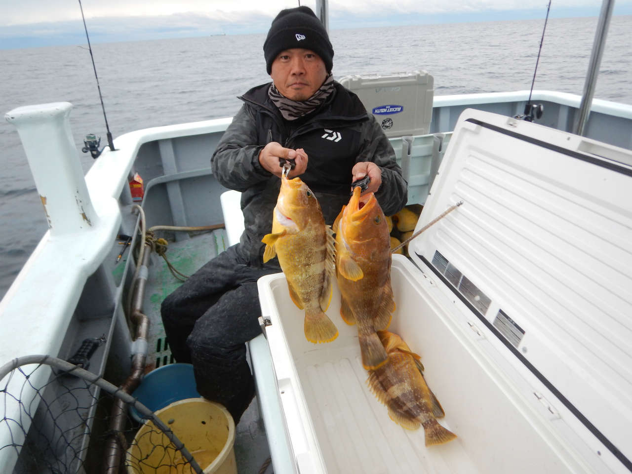 20250112 ハタ　白浜渡船・ルアー・ジギング船魚拓号