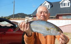 20250214 カンパチ　白浜渡船・ルアー・ジギング船魚拓号