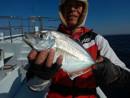 20250227 カサゴ、カイワリ 白浜渡船・ルアー・ジギング船魚拓号