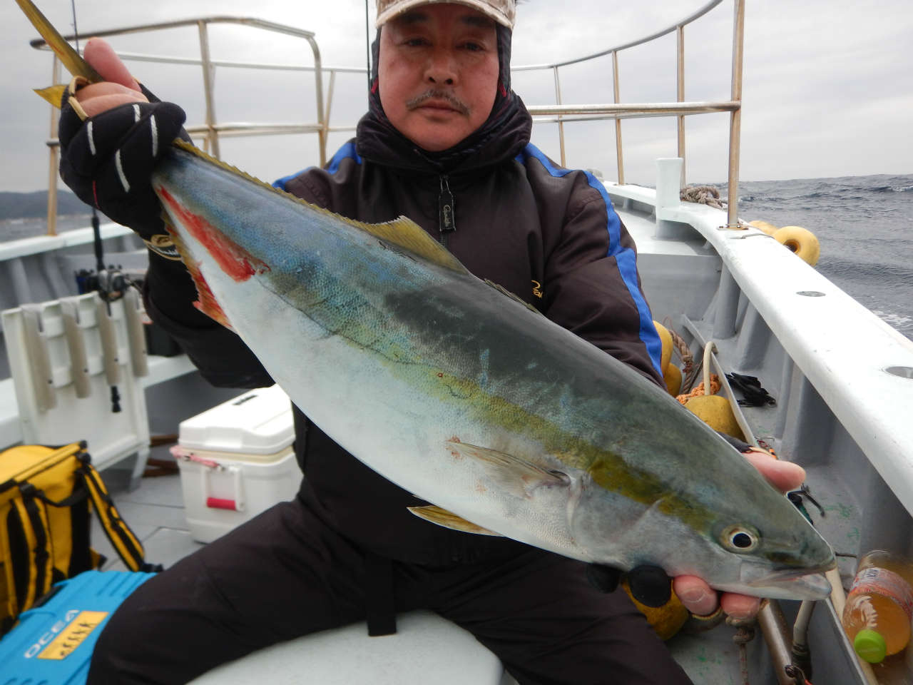 20250308 ワラサ　カンパチ　カサゴ　白浜渡船・ルアー・ジギング船魚拓号