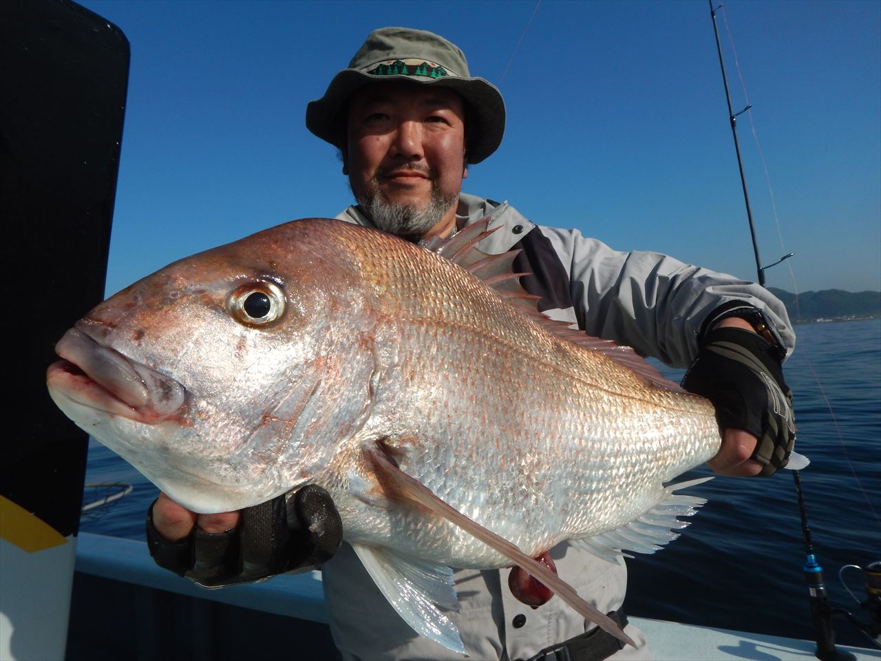 20250427 マダイ 白浜渡船・ルアー・ジギング船魚拓号