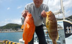 20250505　サバ、アオハタ、カサゴ、レンコダイ etc　白浜渡船・ルアー・ジギング船魚拓号