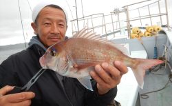 20250507 マダイその他　白浜渡船・ルアー・ジギング船魚拓号