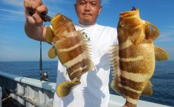 20250628　ハタ　白浜渡船・ルアー・ジギング船魚拓号