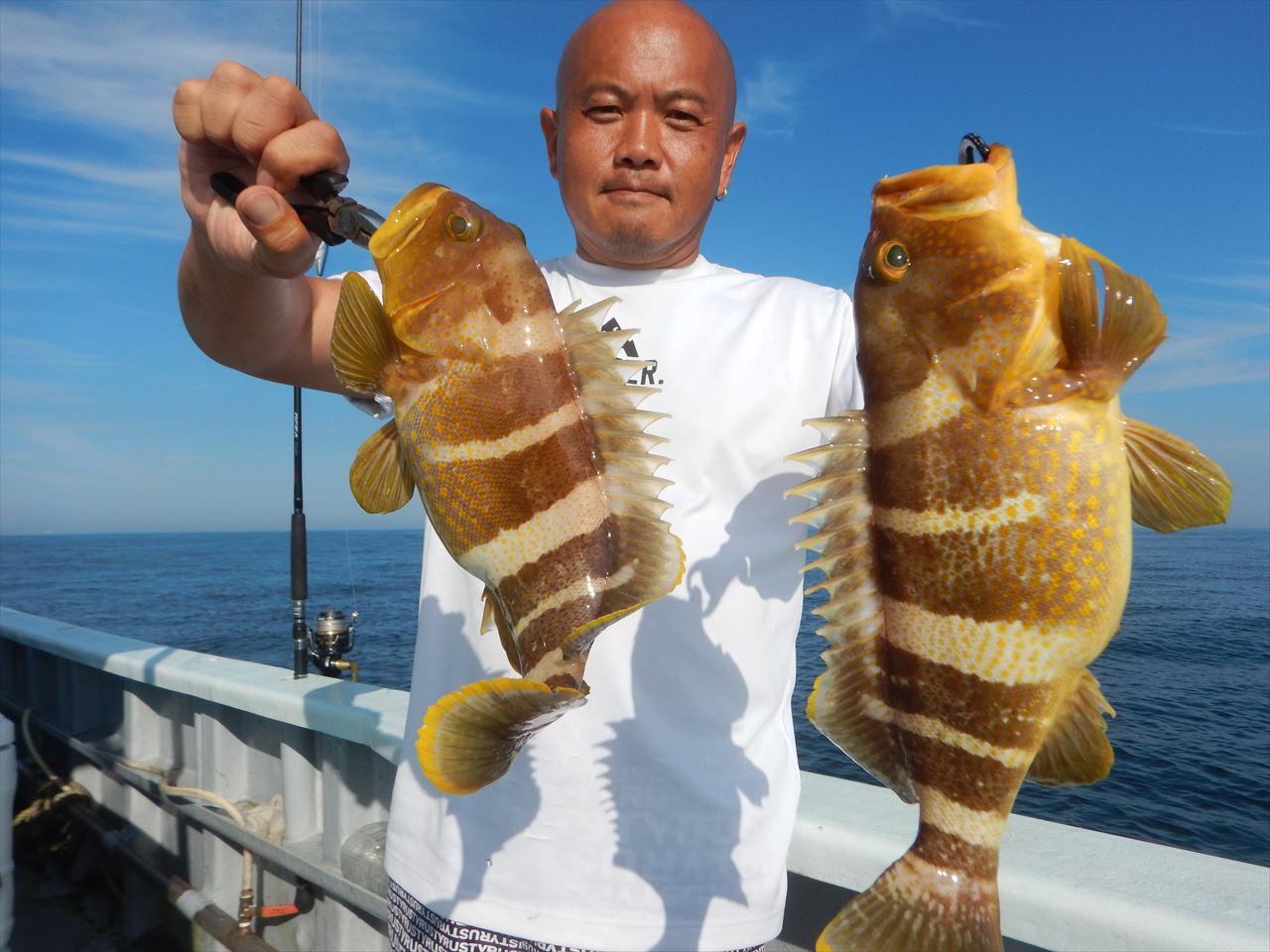 20250628 ハタ 白浜渡船・ルアー・ジギング船魚拓号