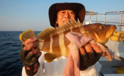 20250630 アオハタ、カサゴ etc 白浜渡船・ルアー・ジギング船魚拓号