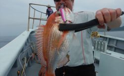 20250702 レンコダイ etc 白浜渡船・ルアー・ジギング船魚拓号
