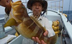 20250705 アオハタ、カサゴ etc 白浜渡船・ルアー・ジギング船魚拓号
