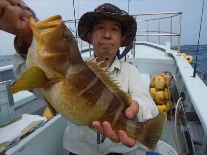 20250705 アオハタ、カサゴ etc 白浜渡船・ルアー・ジギング船魚拓号