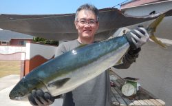 20250830 ワラサ　白浜渡船・ルアー・ジギング船魚拓号