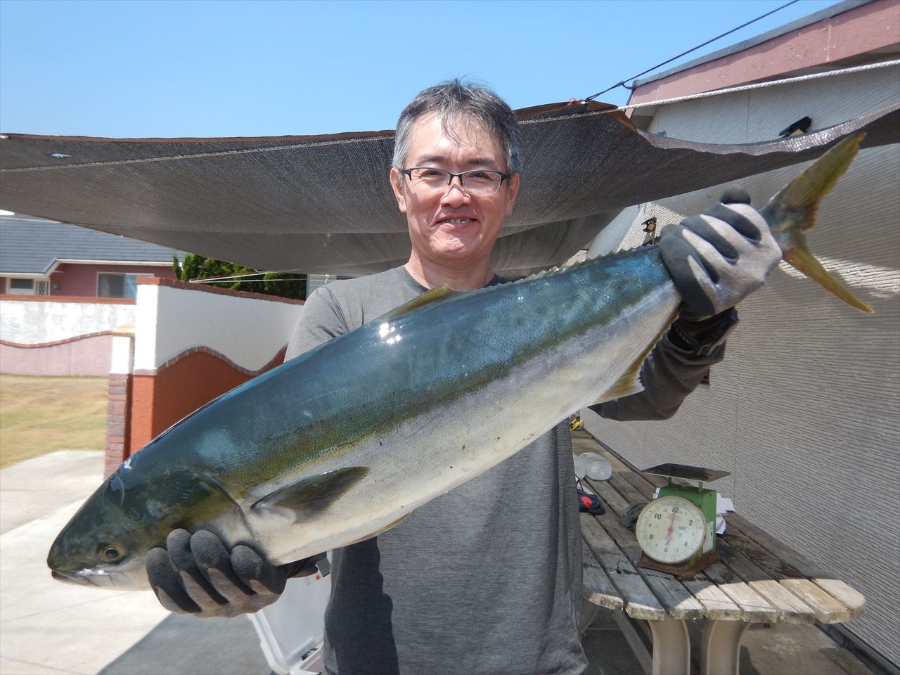 20250830 ワラサ 白浜渡船・ルアー・ジギング船魚拓号