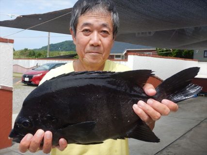 20250816 イシダイ釣れる　白浜渡船