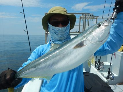20250816　ワラサ他etc　白浜渡船・ルアー・ジギング船魚拓号