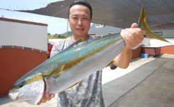 20250822　ヒラマサ・マダイ・ツムツムetc　白浜渡船・ルアー・ジギング船魚拓号