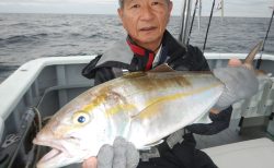 20251029 カンパチ シイラetc 白浜渡船・ルアー・ジギング船魚拓号