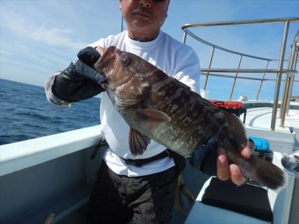 20250823 ハタ＆ヒラメetc　　白浜渡船・ルアー・ジギング船魚拓号