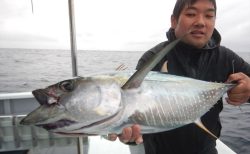 20251015  キハダ（8.4キロ）沖サワラ,、シイラ 白浜渡船・ルアー・ジギング船魚拓号