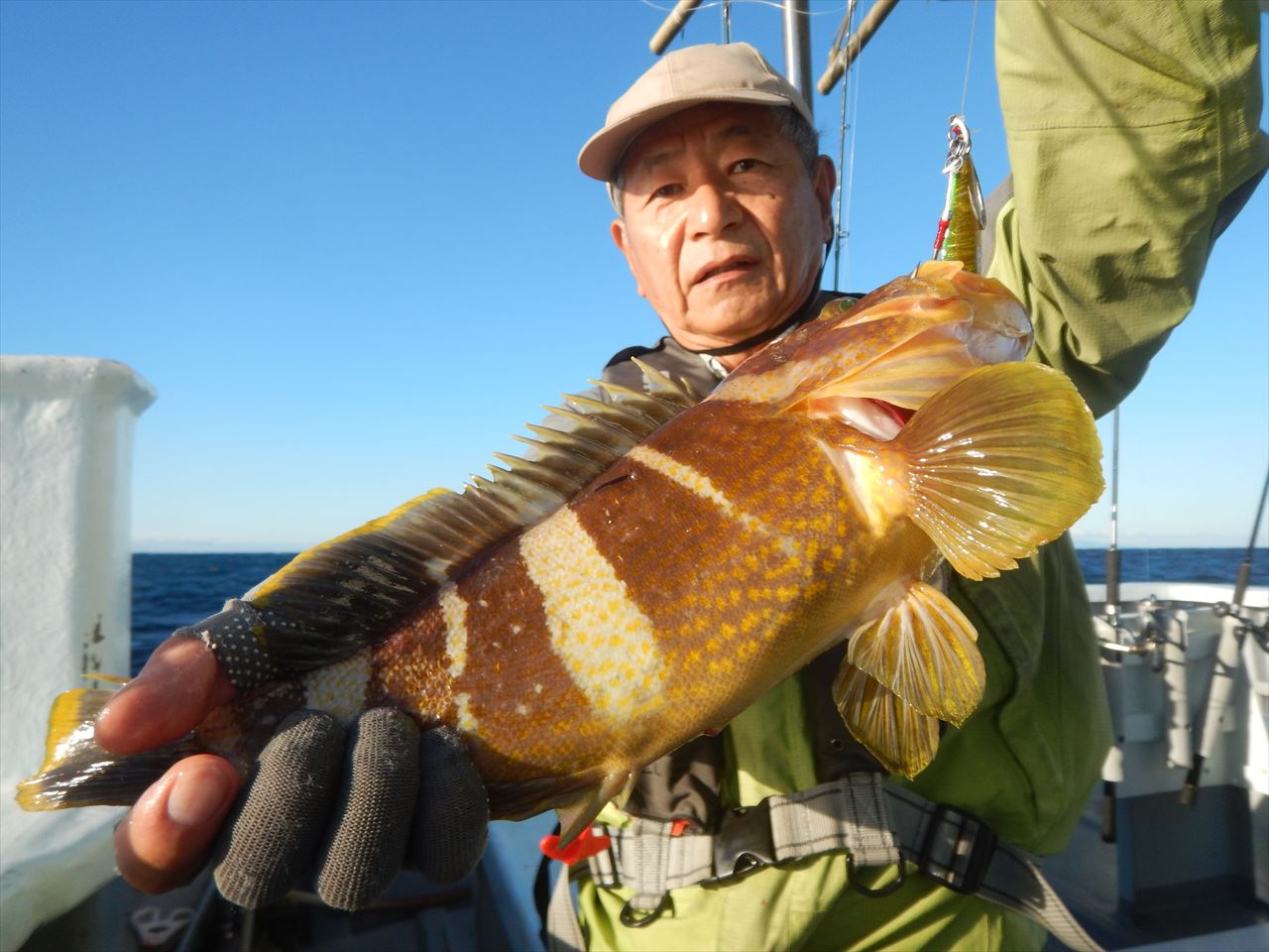 202501017 ワラサ、アオハタ etc　白浜渡船・ルアー・ジギング船魚拓号