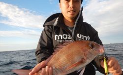 20251019 マダイ　白浜渡船・ルアー・ジギング船魚拓号