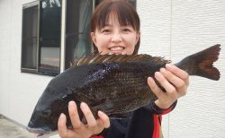 20251920　クロダイ、メジナ、イサキ　白浜渡船