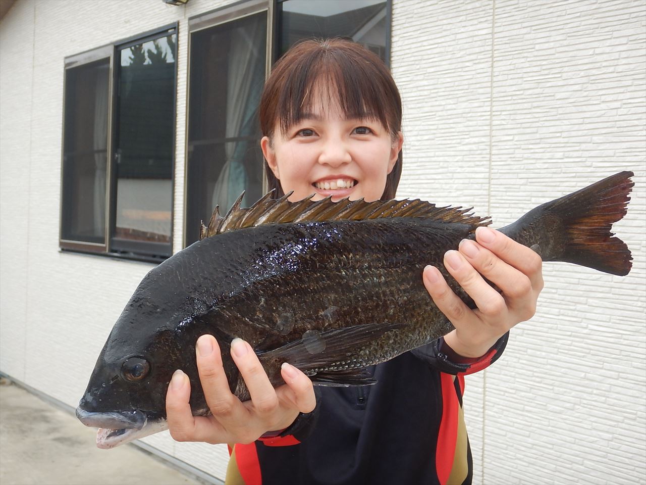 20251920　クロダイ、メジナ、イサキ　白浜渡船