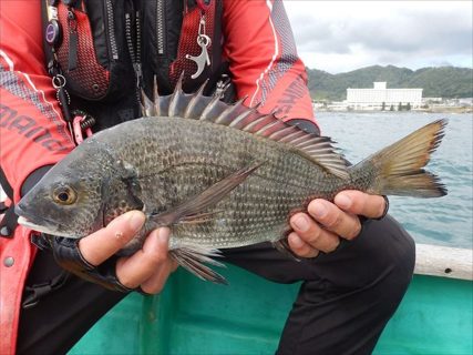 20251005　クロダイ　白浜渡船