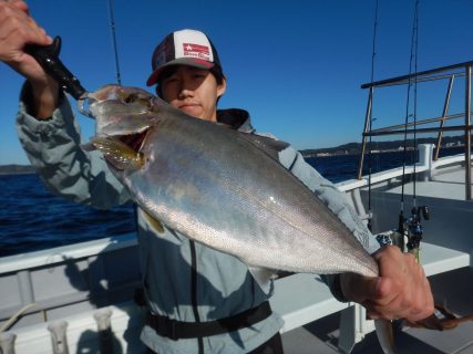 20251122 カンパチ・オハタetc　白浜渡船・ルアー・ジギング船魚拓号