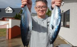 20251123　スマガツオ・アオハタetc　白浜渡船・ルアー・ジギング船魚拓号