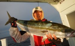 20251105 ワラサ・マハタetc 白浜渡船・ルアー・ジギング船魚拓号