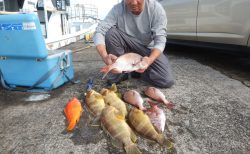 20251106 マダイ・アオハタ 白浜渡船・ルアー・ジギング船魚拓号