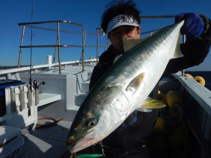 20251114 ワラサ、カンパチ、ハタetc 白浜渡船・ルアー・ジギング船魚拓号